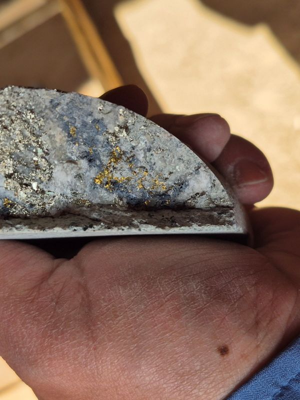Core sample with visible gold